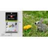 Bloque Wisehawk Animales Armar Niños Juguete