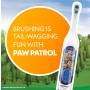 PAW Patrol Spinbrush Kids Cepillo de Dientes a Batería Cerdas Suaves Edades 3+